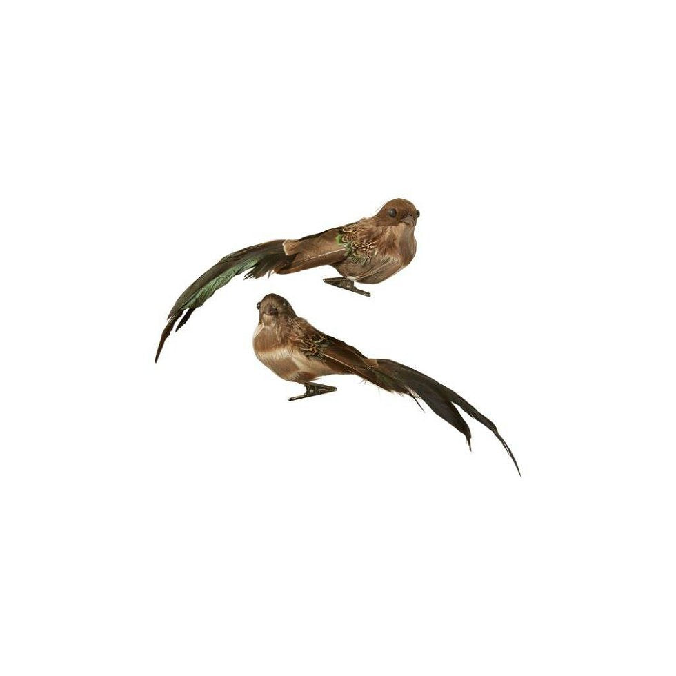 Fugl med klips - Brun & grøn