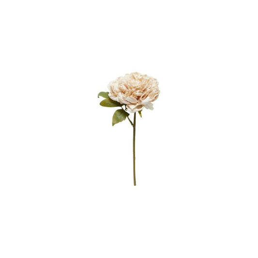 Speedtsberg kunstig pæon - Light Rose