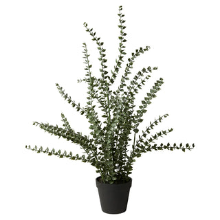 Potteplante