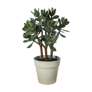 Kunstig Sukkulent i potte - H38cm