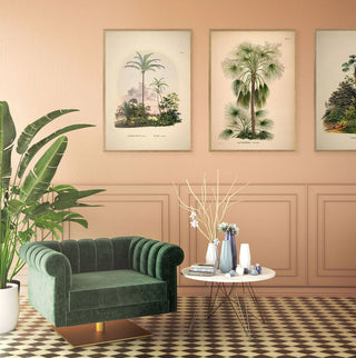Palme Billede i Ramme