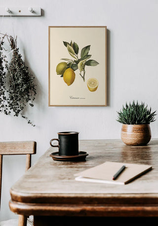 Citron Billede i Ramme