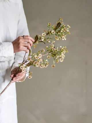 Bloomingville Waxflower Stilk - Hvid
