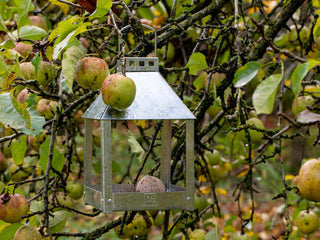 A2 Living Birdy Eat Foderbræt - Zink