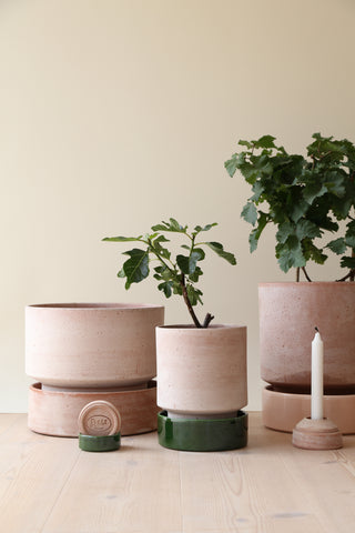 Bergs Hoff - RAW Rosa Underskål