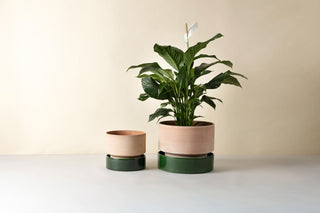 Bergs Hoff - GLAZED Emerald Green Underskål