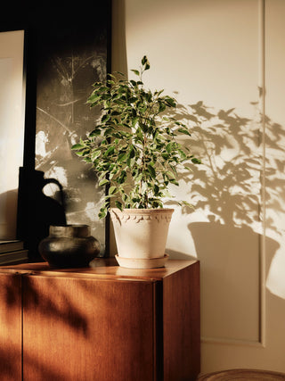 Bergs Københavner Potte - Raw Rosa Terracotta
