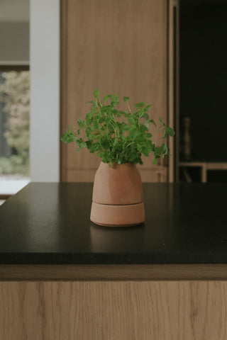 Bergs Viva Selvvandingspotte - RAW Rosa Terracotta