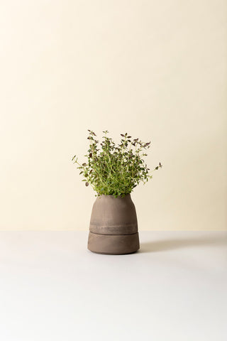 Bergs Viva Selvvandingspotte - RAW Grey Terracotta