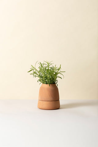 Bergs Viva Selvvandingspotte - RAW Rosa Terracotta