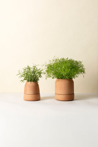 Bergs Viva Selvvandingspotte - RAW Rosa Terracotta