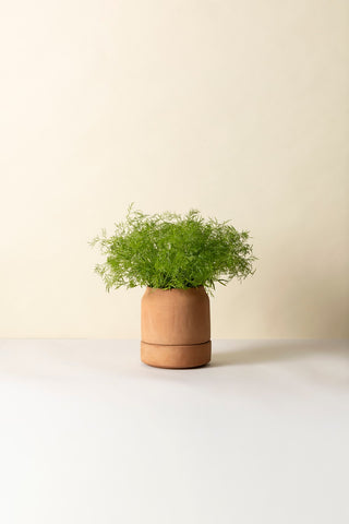 Bergs Viva Selvvandingspotte - RAW Rosa Terracotta