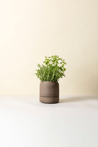 Bergs Viva Selvvandingspotte - RAW Grey Terracotta
