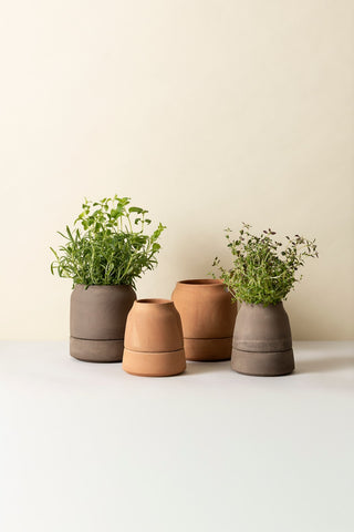 Bergs Viva Selvvandingspotte - RAW Rosa Terracotta