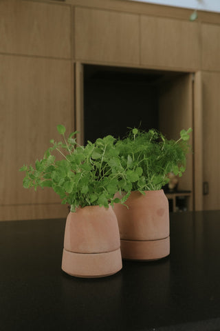 Bergs Viva Selvvandingspotte - RAW Rosa Terracotta