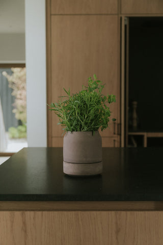 Bergs Viva Selvvandingspotte - RAW Grey Terracotta