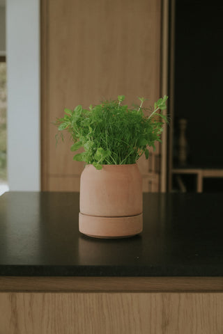 Bergs Viva Selvvandingspotte - RAW Rosa Terracotta