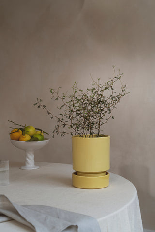 Bergs Hoff GLAZED Pale Yellow - Potte