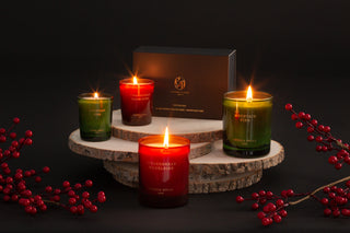 Cerería Mollá Duftlys - Juleduft Pine