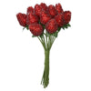 Bungalow Mini Berries - Mulberry H12cm Ruby