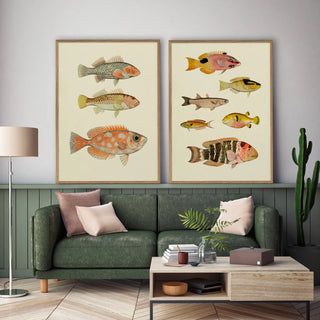3 Orange Fisk Billede i Ramme - Kun Afhentning
