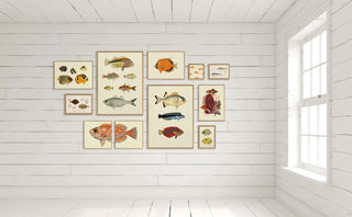 The Fishes Fisk Billede i Ramme - Kun afhentning