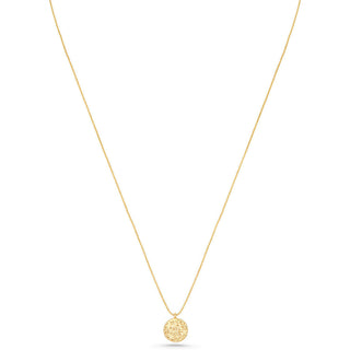 Frau Coin Guld Halskæde - Lang