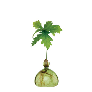 Ilex Acorn Vase - Grass Green