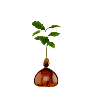 Ilex Acorn Vase - Russet Brown