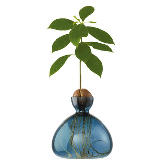 Ilex Avocado Vase - Blue Jay