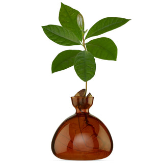 Ilex Avocado Vase - Russet Brown