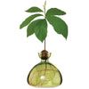 Ilex Avocado Vase - Grass Green