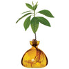 Ilex Avocado Vase - Mellow Yellow