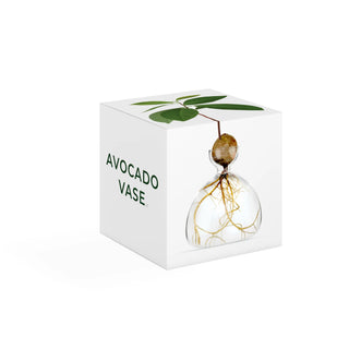 Ilex Avocado Vase - Clear