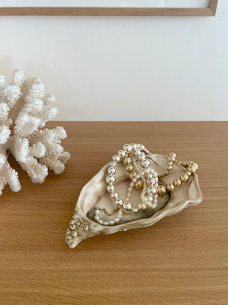 oysters