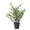 Kunstig Eukalyptus i Potte - 40cm