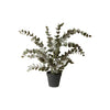 Kunstig Eukalyptus i Potte - 54cm