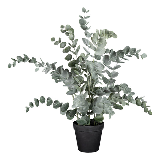 Kunstig Eukalyptus i potte - Støvet Grøn - H: 50cm