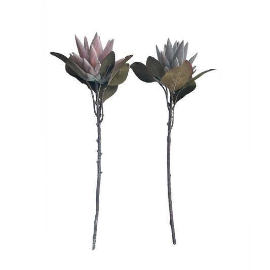 Kunstig Protea 52cm - Støvet Rosa
