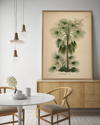 Palme Billede i Ramme