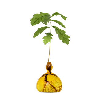 Ilex Acorn Vase - Mellow Yellow