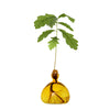 Ilex Acorn Vase - Mellow Yellow