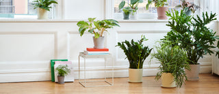 Tray Table Side Table - Str. S
 
 - Farve: White