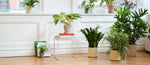 Tray Table Side Table - Str. S
 
 - Farve: White
